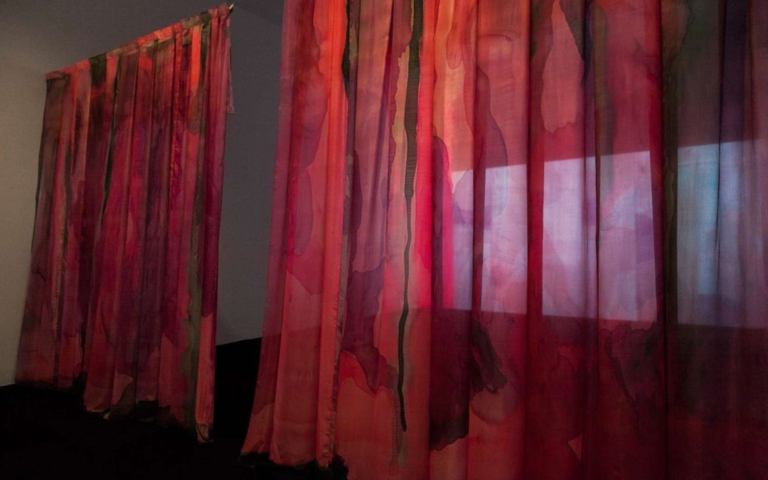 Exhibition Views