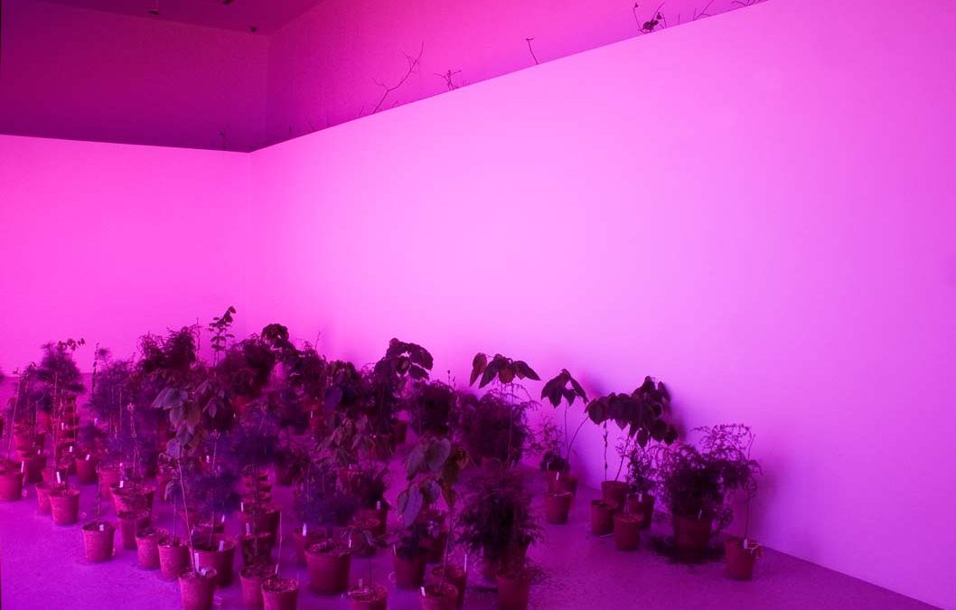 Exhibition Views