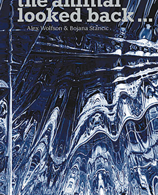 Alex Wolfson and Bojana Stancic: And so, the animal looked back …