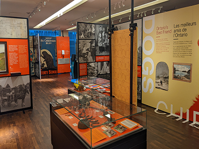 ANIMALIA: Animals in the Archives