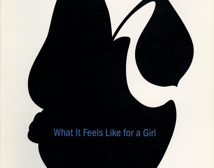 what It feels like for a girl / Sinbad in the Rented World